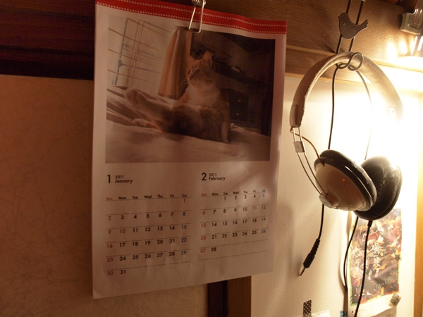 実家の猫カレンダー