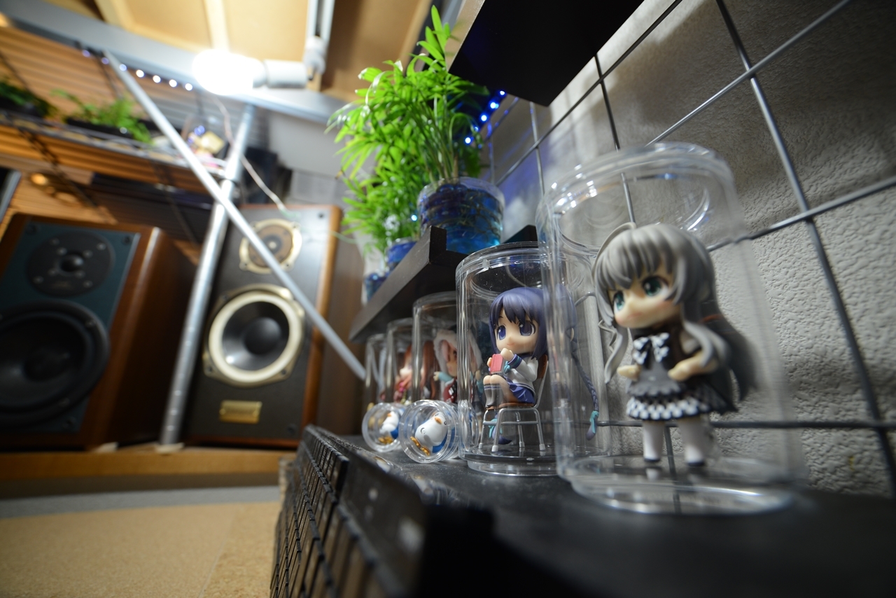 部屋の隅